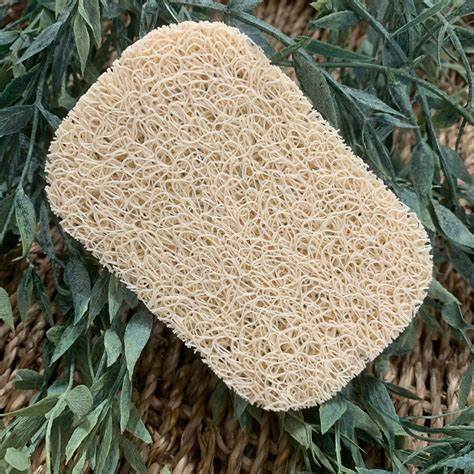 Soap Save Lift