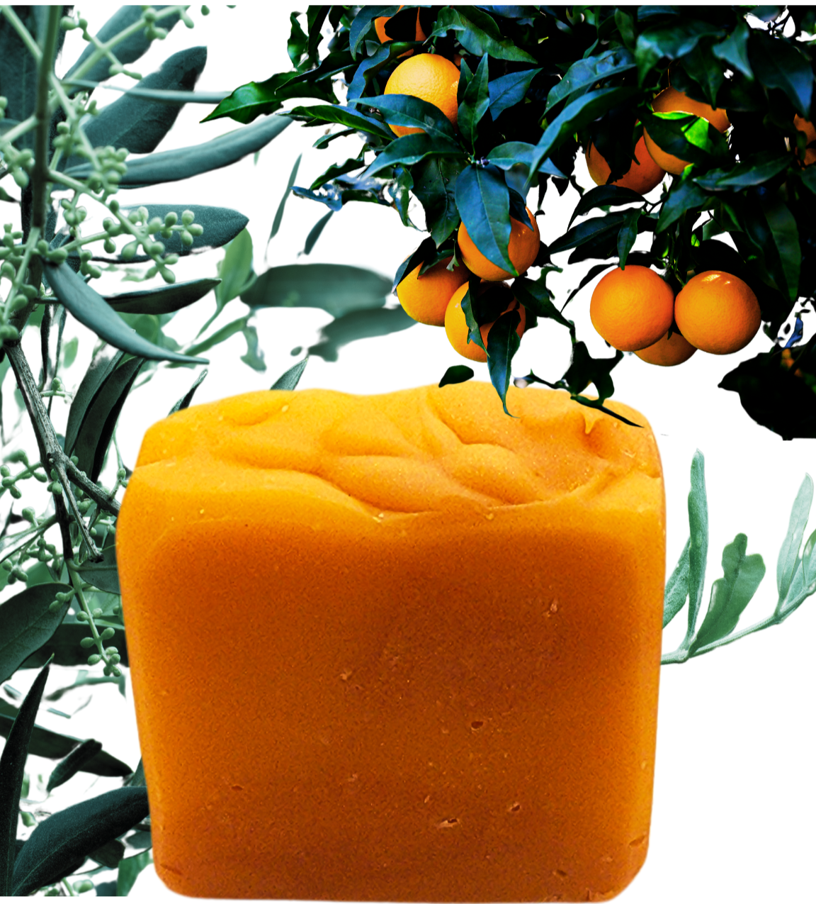 Citrus Grove Bar Soap